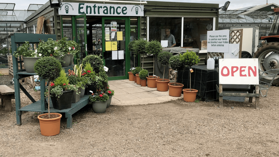 Morrisons Garden Center | Fasci Garden